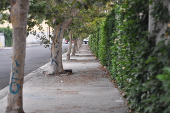 Enlarge photo 3