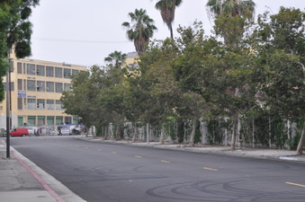 Enlarge photo 11