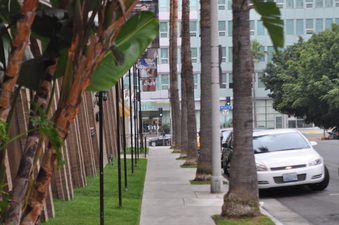 Enlarge photo 11