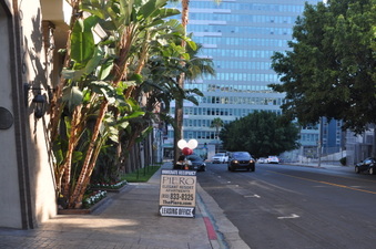 Enlarge photo 14