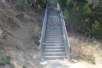 Stairs Glendale Blvd