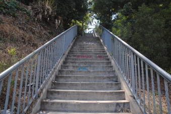 Enlarge photo 5