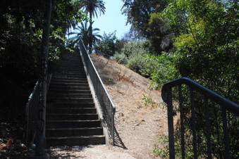 Enlarge photo 8