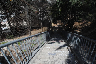 Enlarge photo 16