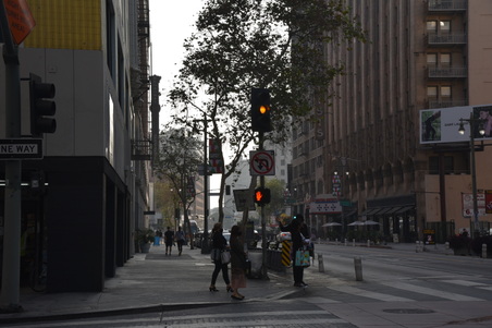 Enlarge photo 37