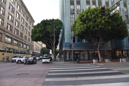 Enlarge photo 38