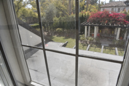 Enlarge photo 53