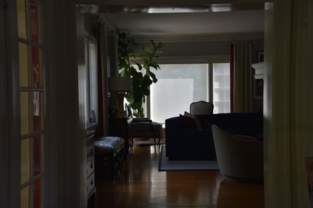 Enlarge photo 131