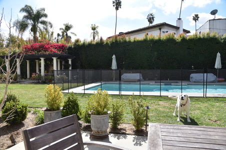 Enlarge photo 134