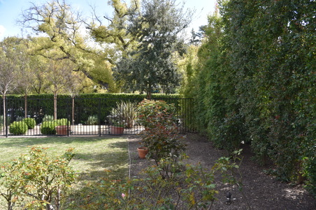 Enlarge photo 140