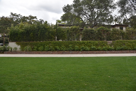 Enlarge photo 17