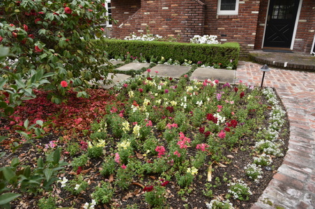 Enlarge photo 20
