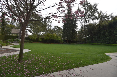 Enlarge photo 42