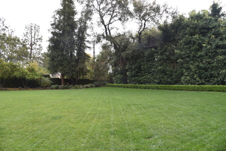 Enlarge photo 45