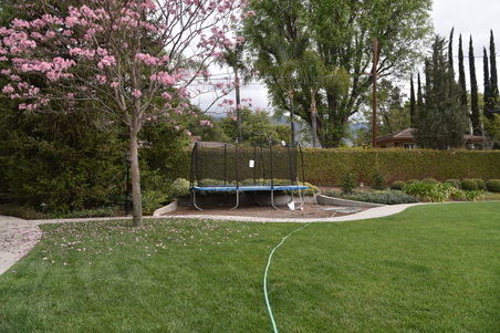 Enlarge photo 46