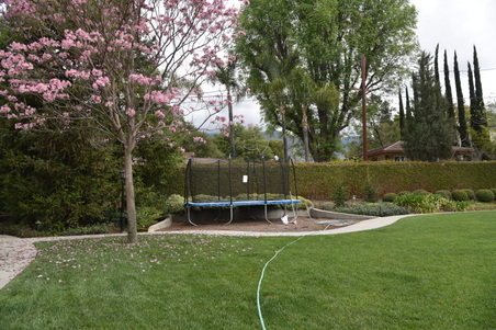 Enlarge photo 48
