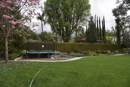 Enlarge photo 49