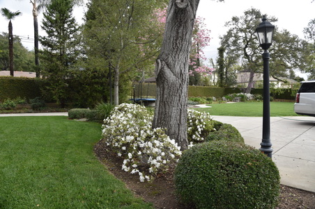 Enlarge photo 55