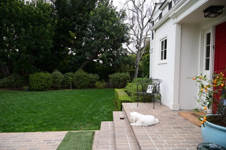 Enlarge photo 27