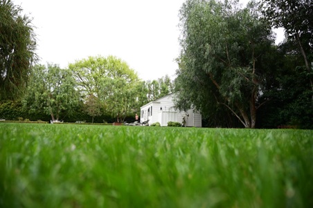 Enlarge photo 112