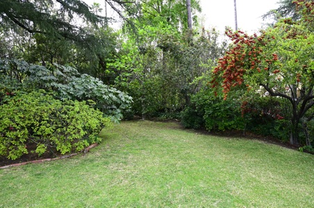 Enlarge photo 27