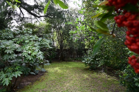Enlarge photo 28