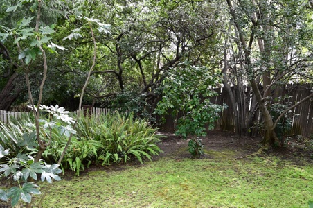 Enlarge photo 29