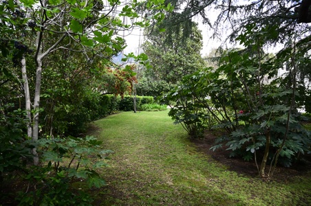 Enlarge photo 30