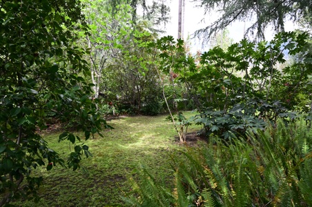 Enlarge photo 32
