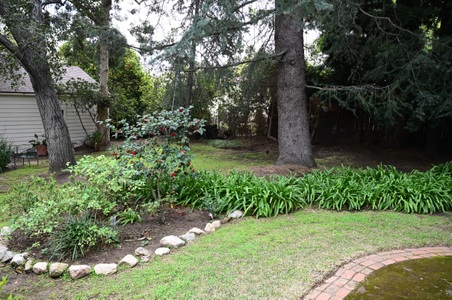 Enlarge photo 154