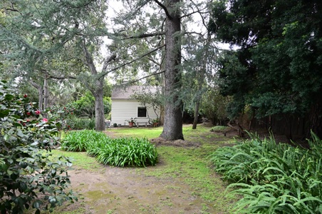 Enlarge photo 156