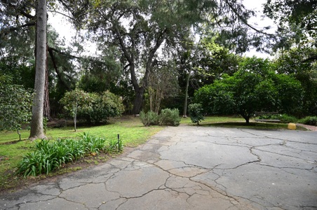 Enlarge photo 173