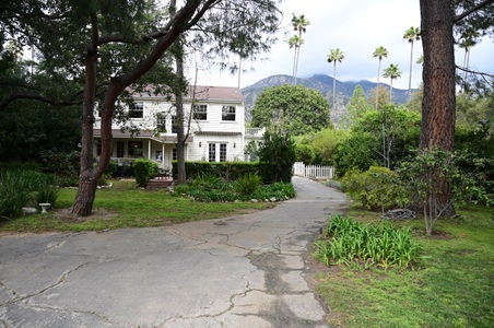 Enlarge photo 177