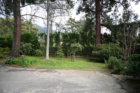 Enlarge photo 178