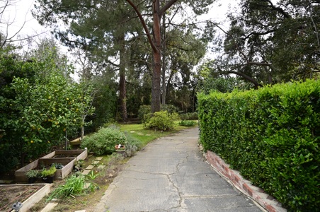 Enlarge photo 181