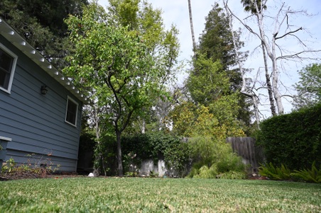 Enlarge photo 36