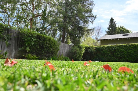 Enlarge photo 41