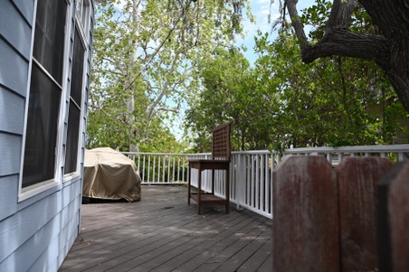 Enlarge photo 63