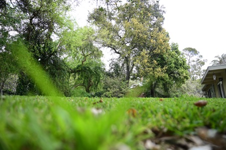 Enlarge photo 122