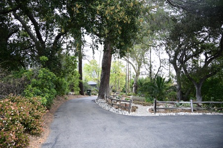 Enlarge photo 153