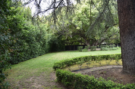 Enlarge photo 6