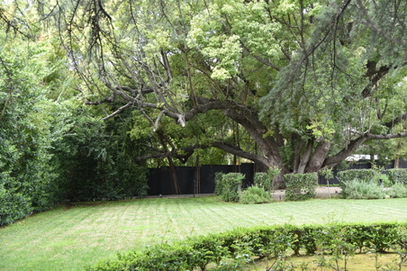Enlarge photo 9