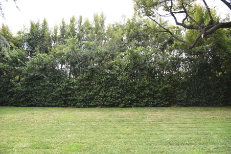 Enlarge photo 18