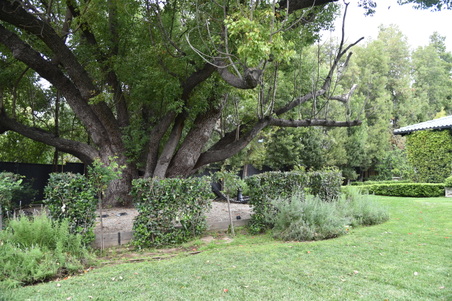 Enlarge photo 20