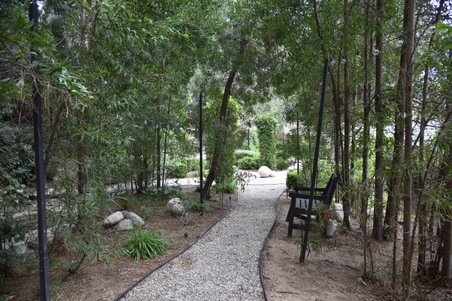 Enlarge photo 126