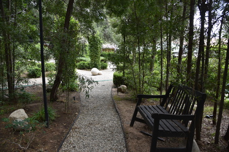 Enlarge photo 129