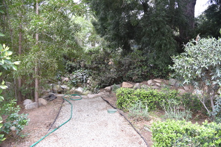 Enlarge photo 131