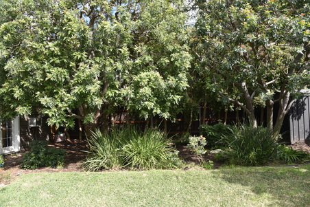 Enlarge photo 114