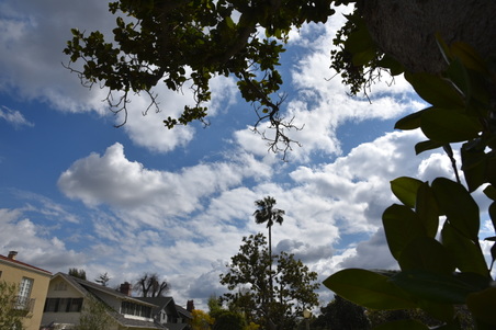 Enlarge photo 134