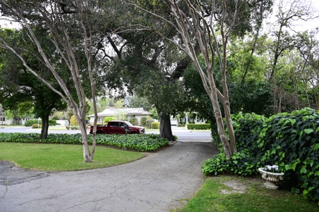 Enlarge photo 7